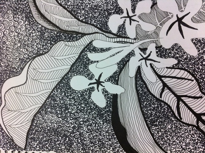 Helen Kay Drawing 0007.jpg